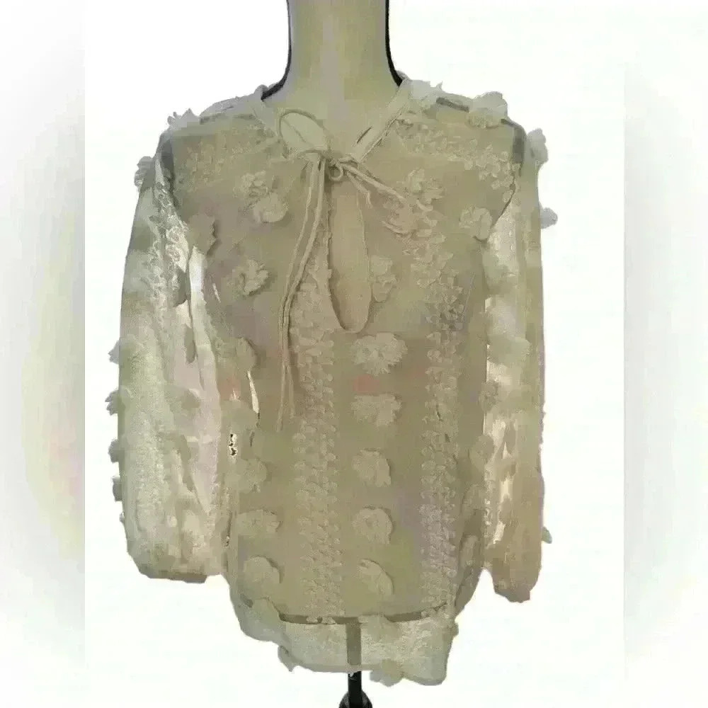 Zara Cream Sheer Floral Appliqué Long-Sleeve Blouse